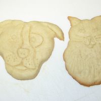 Plain But Cute! These cookies are my long haired tabby and PittBull! My boyfriend hand made them using No Fail. I thought they were quite good. I wasn'...