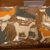 More Kitties No fail with Royal