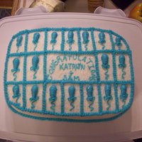 Balloons buttercream and blue balloons to match invitations