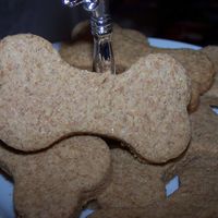 Jojo And Dash Cookies I made these treats for my dogs I am getting ready to try a homemade cake for dogs.