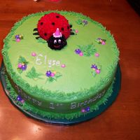 Lady Bug Here is my version of a lady bug cake. Thanks everyone for all of the postings you have done! My Royal Icing for the name was too thin (...