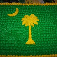 South Carolina Flag SC State Flag done in Green and Yellow for someone who loves John Deere. The cake was not supposed to be covered in dots, but the icing...