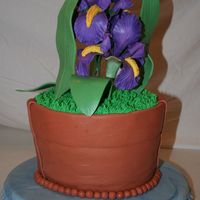 Iris Flower Pot Idea came from "Sweet Celebrations" by Sylvia Weinstock & Kate Manchester. Irises were made from gumpaste using Nicholas...