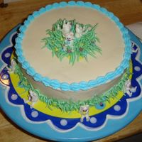 Top View Of Bunny Cake Just my little Easter cake.