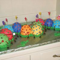 Caterpillar Cake Picture of caterpillar cake I made for my 3 year old daughter's birthday