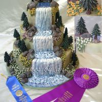 Nature Cake This is my entry for the birthday category at the SC 2006 state fair. I won first place and sweepstake award (which is equivalent to best...