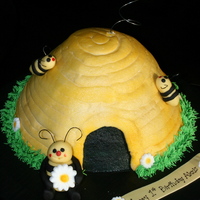 Alexis's Bee Hive For a little girl whose nickname was bumble bee. Met her through our (Icing Smiles Inc.) partnership with Ronald McDonald House. She was...