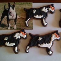 Eleanor My bull terrier, Eleanor, is well known around the neighborhood. She has a white spot on her back that I turned into a ghost. These...