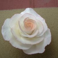 First Gumpaste Attempt! This was my (probably overambitious) first attempt at doing anything with gumpaste. It's a lot easier to do than I thought, but what I...