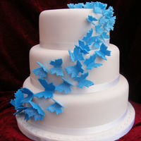 Blue Butterflies Another dummy. Same set of dummies as the purity cake just with butterflies stuck to it