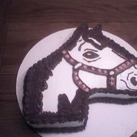 Horse Cake I cant take credit for the cake idea.I saw this on CC by a decorator named Shanly. My friends daughter wanted a horse cake and I thought...