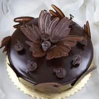 Opera Cake Roulade with filled with ganache and coffee B/C. Poured with ganache and Choc. decorations!