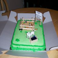Horses Cake is covered in decorator's buttercream (from foodnetwork website); grass is BC; dirt is graham crackers; all horses are plastic...