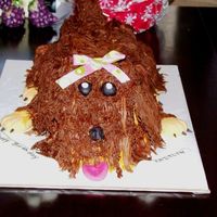 Chocolate Dog 