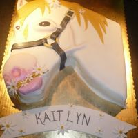 Horse Made this for my daughters 13th birthday.