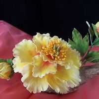 Peony A peony flower made with sugarpaste.Swati http://sugarcraftindia.blogspot.com
