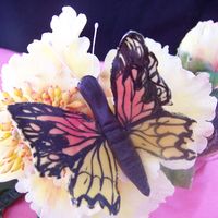 Butterfly Butterfly in sugarpaste....details hand painted.Swati http://sugarcraftindia.blogspot.com