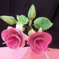 Fuschia's Fuschia's in sugarpaste.Swati http://sugarcraftindia.blogspot.com
