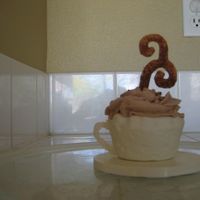 Chocolate Covered Cupcake 