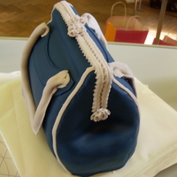 Handbag Medeira cake, covered with fondant. Cake was made during a Lindy Smith cake workshop in the UK 6/25/10. Shape was carved using templates.