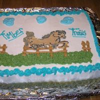Timber Trails Half sheet marble cake with buttercream icing. I did this last minute, very rushed, and my bct fell apart!! Of course, I did that last so I...