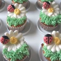 Lady Bug And Daisy Cupcakes these were made for my preschool class. royal icing flowers and bugs, buttercream grass, vanilla WASC cake