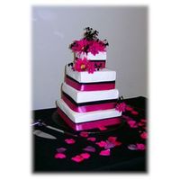 Hot Pink And Black Square Wedding Cake 