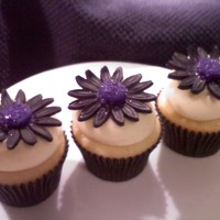 Daisy Cupcakes !!! WASC cupcakes iced in BC with fondant Daisy :) For a bridal shower. Told that the future bride loved them, which makes it all worth while....
