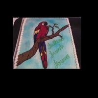 Macaw Parrot Cake This cake was created for Feathered Friends Forever's annual fundraiser