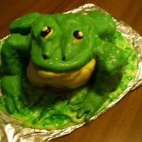 Frog Cake This is my first attempt to make my grandsons birthday cake. It turned out better then I thought it would. It was delicious anyway, and the...