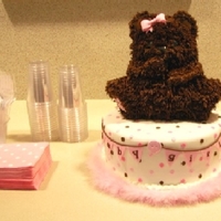 Girl Teddy Bear I made this for a co-worker who is having a baby girl, her first. I was happy with how the cake came out but the picture is terrible, sorry...