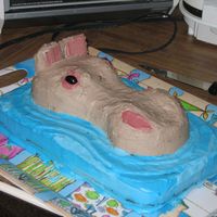 Hippo In The Lagoon All I did was bake this cake and make the frosting (which was a disaster). DH made the frosting useable and carved the cake and frosted it...