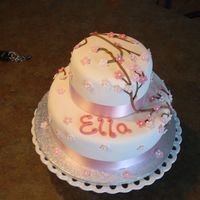 Ella's 85Th My girlfriends mother in-law's 85th Birthday. They were apple orchardist, so I made a cake with apple blossoms..