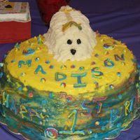 Puppy Cake I made this one for my nieces 1st birthday. As normal with my family, it was not a traditional birthday cake. I used white chocolate icing...