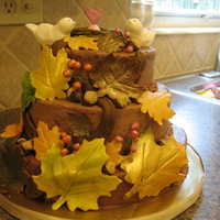 Fall Baby Shower This was a practice cake i did for a baby shower that will be in November. I was pretty happy with it....but there are definitely things I...