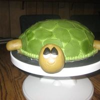 Turtle Turtle I used a 9" round and carved a dome shape. I decorated in Buttercream and used fondant accents.