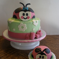 Ladybug 1st birthday ladybug cake inspired by several cakes on this site and the party supplies.