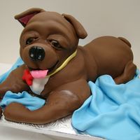 My Little Puppy Poundcake covered with fondantI just love my cake!! :)