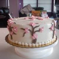 Bridal Shower Cake Small bridal shower cake for a friend. It was a smaller version of the actuall wedding cake