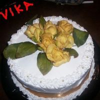 Mi Pastel De Chocolate 