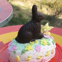 Chocolate Bunny Easter Cake Chocolate cake filled with fudge mousse and peach mousse. The bunny is a chocolate cake, brushed with chocolate. All decorations are made...