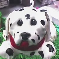 Dalmation dog made from 1/2 sheet cake and covered in fondant painted on spots