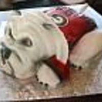 Side View Of Dog See front view