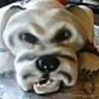 Bull Dog 07 This a different version of a Ga. bulldog cake. made from a half sheet and 10" round. Cake is covered in fondant and airbrushed