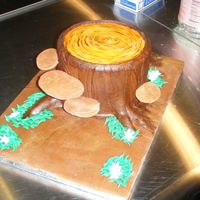 Fairy Tree Stump For a client who wanted a tree stump...she had little fairies to put around it. It is a fondant covered 6", and my hubby did the...