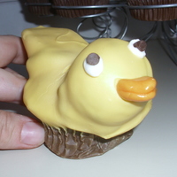 Duck Cupcakes Duck cupcakes made from the book "What's New Cupcake"