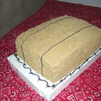 Hay Bail For a retirement party for a judge who is going to be a farmer now. How funny is that?