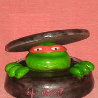 Ninja Turtles Birthday Cake 