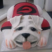 University Of Georgia Bulldog Three half sheet cakes stacked and carved into my favorite mascot!