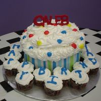 Large Cupcake Cake 